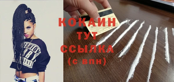 индика Вязники